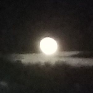 Meet your Posher, Cyndee